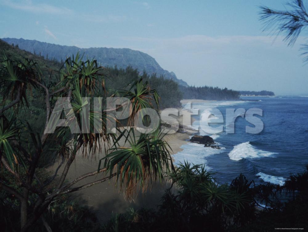 Jeep rentals in kona hawaii #2