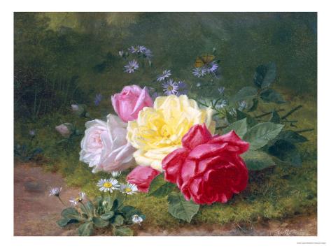 Daisies+and+roses