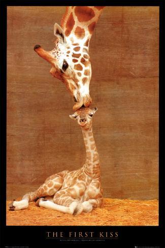 The First Kiss