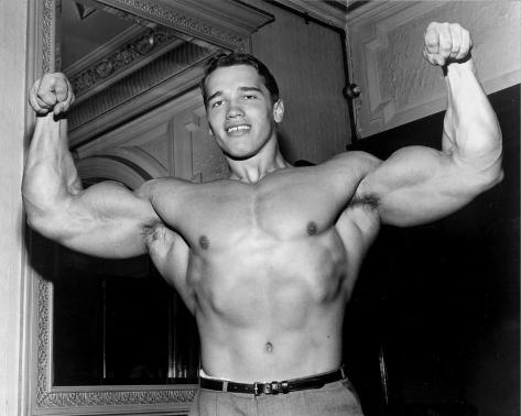 Arnold Schwarzenegger Photo