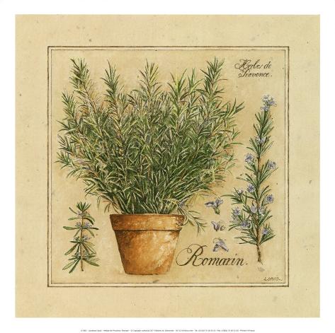 herbes de provence
