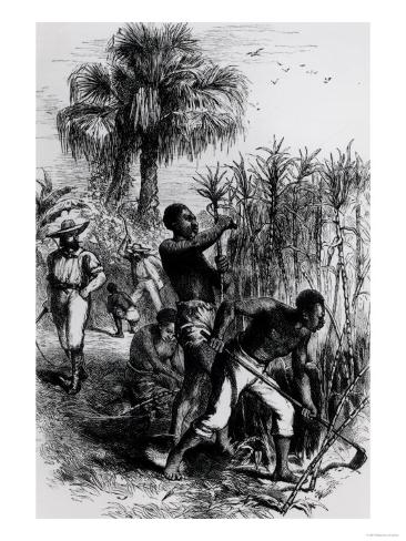 Plantation Slaves