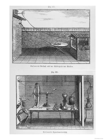 Galvani Frog Experiment