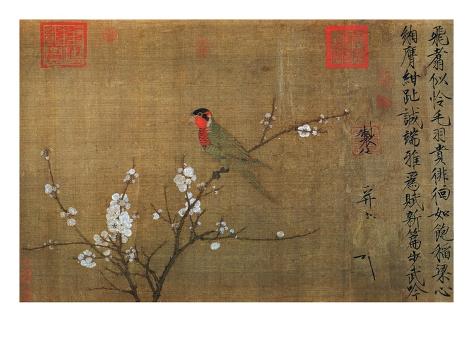 The Five-Colored Parakeet Giclee Print
