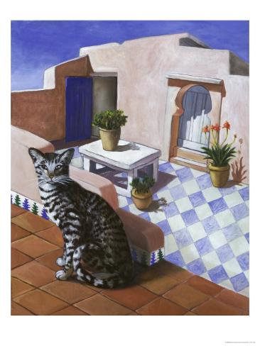 Chat maroc mic
