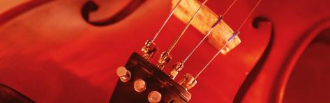 Colored Lights, Close-up of a Violin Photographic Print