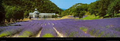 Sault Provence