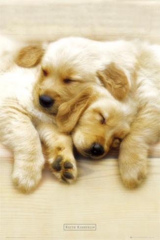 Snooze