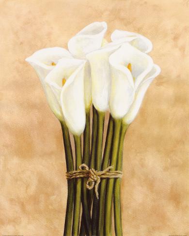 White Cala Lilies in String
