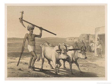 essay on indian farmer in hindi lang essay on indian farmer in hindi lang
