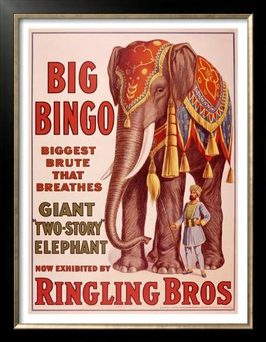 Ringling Brothers Circus: Big Bingo the Elephant Prints at AllPosters ...