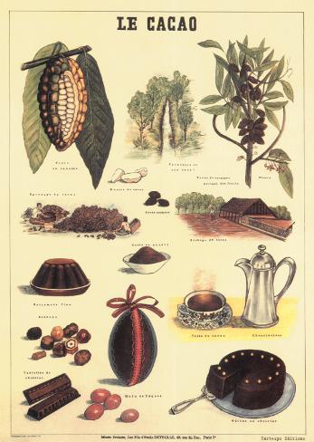 el cacao chat Chat with an expert ecuador cacao – some of the best chocolate in the world home ecuador cacao – some of the best chocolate in the world. el cacao chat Chat with an expert ecuador cacao – some of the best chocolate in the world home ecuador cacao – some of the best chocolate in the world.