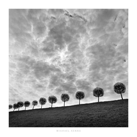 Ten and a Half Trees, Peterhof, Russia, 2000 Art Print