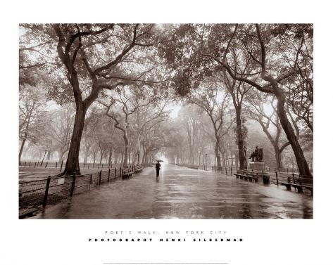 Poets Walk Art Print