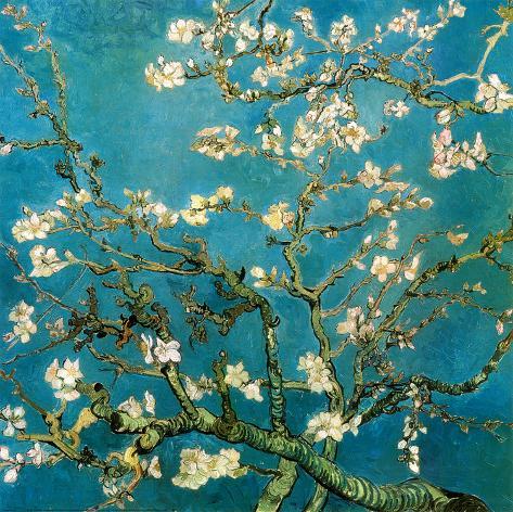 Almond Branches in Bloom, San Remy, c.1890 Art Print