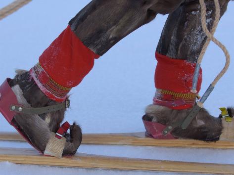 Schoenen lapland