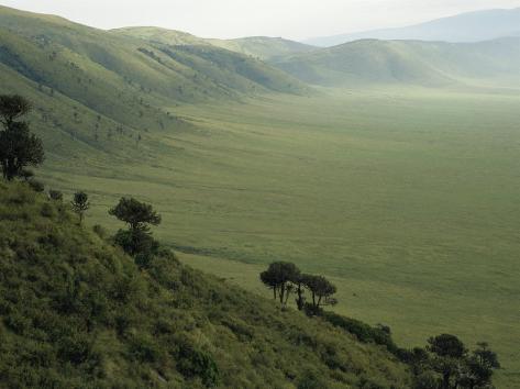 Looking Down into Ngorongoro Crater, Tanzania, East Africa, Unesco World Heritage Site Premium Poster