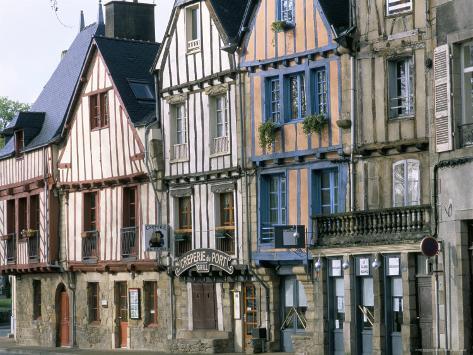 chat vannes