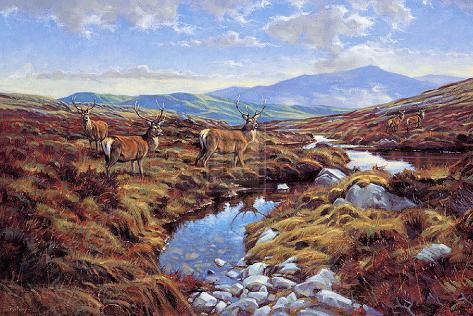 Stags Art Print