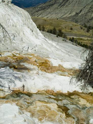 mammoth spring chat sites Mammoth hot springs campground checklist reservations: no (all sites first-come, first-served) dates: open all year sites: 85 elevation: 6,200 feet above sea level accessible sites: yes. mammoth spring chat sites Mammoth hot springs campground checklist reservations: no (all sites first-come, first-served) dates: open all year sites: 85 elevation: 6,200 feet above sea level accessible sites: yes.