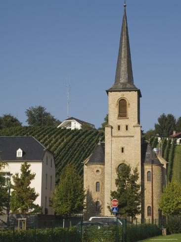 chat moselle