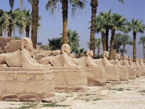 Avenue of Sphinxes, Luxor Temple, Luxor, Thebes, Unesco World Heritage Site, Egypt Photographic Print