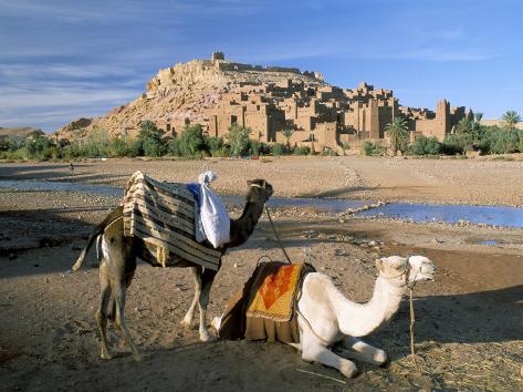 Camels by Riverbank with Kasbah Ait Benhaddou, Unesco World Heritage Site, in Background, Morocco Photographic Print