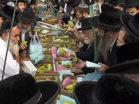 Crowd of Orthodox Jews Buying the Etrog for the Lulav, Four Types Market, During Sukot, Israel Photographic Print