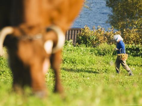 Aukstaitija National Park