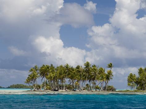 Blue Lagoon Rangiroa