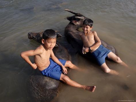  ... Their Water Buffalo in the Mekong River, Eastern Cambodia, Indochina