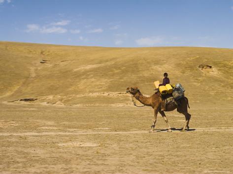 woman riding camel