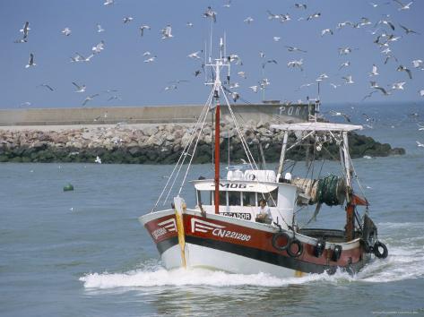 Fishing Boat Returning from Fishing, Deauville, Normandy, France 