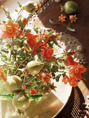 Pomegranate Flower and Fruit Arrangement on a Coffee Table, Samode Bagh or Garden, Samode, India
