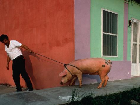jeffrey-becom-villager-pulling-pig-on-rope-tlacotalpan-veracruz-llave-mexico.jpg