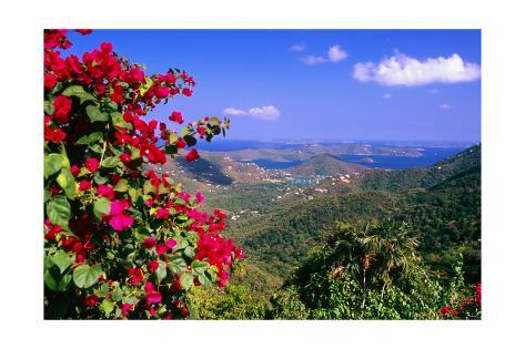 Coral Bay Panorama, St John, US Virgin Islands Photographic Print