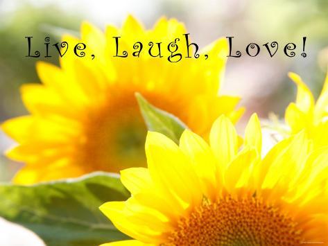 Live Laugh Love Pictures on Live Laugh Love  Sunflower Prints By Nicole Katano At Allposters Com