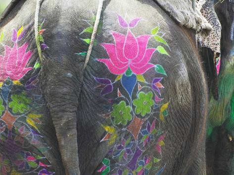 Elephant Decorated with Colorful Painting at Elephant Festival, Jaipur, Rajasthan, India Photographic Print