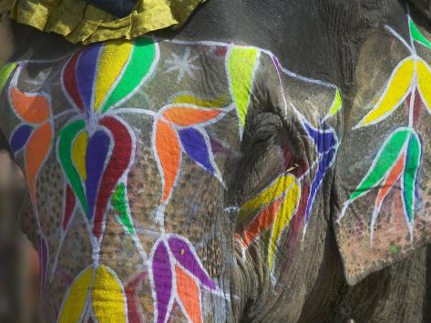 Elephant Decorated with Colorful Painting, Jaipur, Rajasthan, India Photographic Print