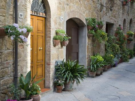 Flower Pots and Planters