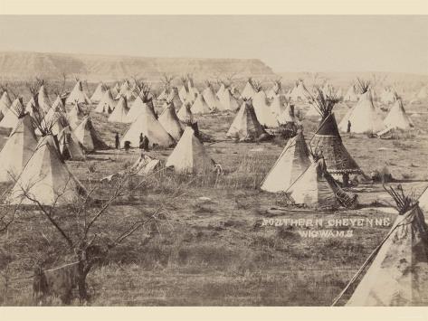 southern cheyenne