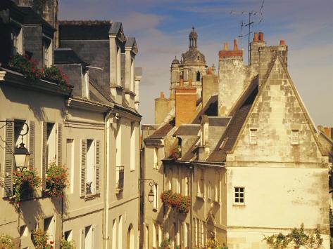 chat indre et loire