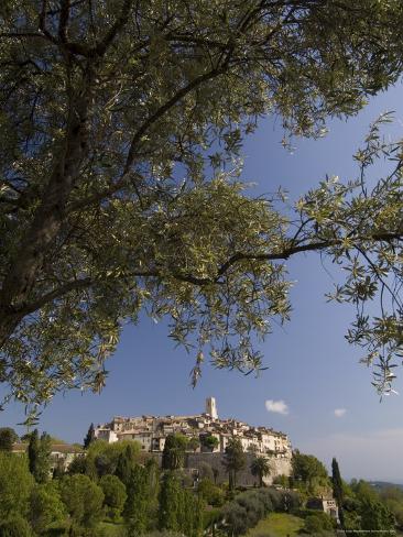 chat alpes maritimes