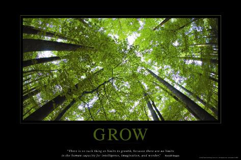 Grow Poster at AllPosters.com Grow Poster at AllPosters.com