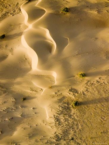  - michael-fay-sunkissed-dunes-with-some-vegetation-cover-in-the-central-sahara-niger