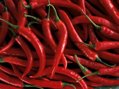 thai chili peppers photographic print at allposters com thai chili peppers photographic print at allposters com
