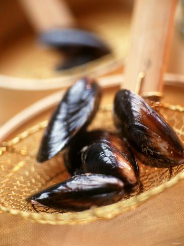 Mussels in a Basket Photographic Print