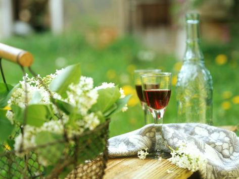 Springtime Wine