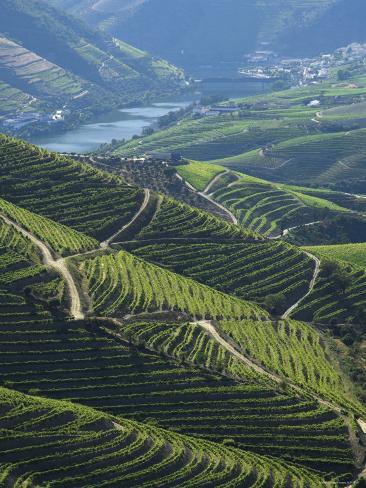 douro portugal