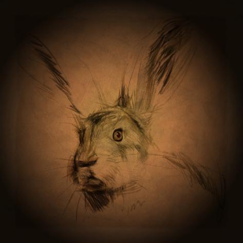 Listening Hare Photographic Print